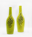 2 Pcs Bottle Flower Vases