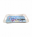 Tray 1700