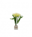 flower 4